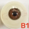 Myloliwaifu 眼球カラー B1（Ali、W2ヘッド専用眼球）