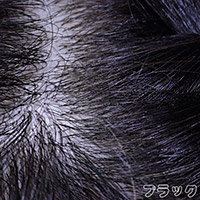 Myloliwaifu ウィッグ ブラック-植毛（シリコンヘッド限定）
