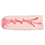 Yeloly 膣のホール型番 2