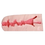 Yeloly 膣のホール型番 3