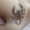 SINO DOLL タトゥー 2