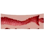 Yeloly 膣のホール型番 5