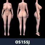 BC DOLL ボディ追加（複数選択可） 155cm Jカップ