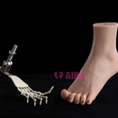 AIBEI Doll 足の構造 足指の関節