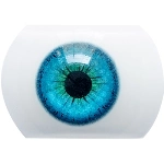 AIBEI DOLL（シリコン製） 瞳の色 1