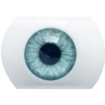 AIBEI DOLL（シリコン製） 瞳の色 2