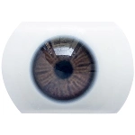 AIBEI DOLL（シリコン製） 瞳の色 4