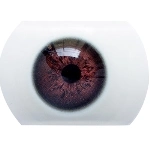 AIBEI DOLL（シリコン製） 瞳の色 5