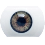 AIBEI DOLL（シリコン製） 瞳の色 6