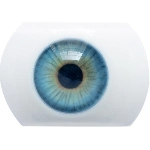 AIBEI DOLL（シリコン製） 瞳の色 3