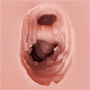 AIBEI Doll 機能とアクセサリー追加（複数購入可能） 膣の柔らかさ仕上げ