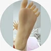 Aotume Doll 自立機能 無し（フルシリコン対象外）