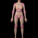 AXB Doll 関節の締めさ 全体