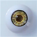 Climax Doll 眼球色 Bright-brown