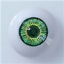 Climax Doll 眼球色 Bright-green