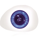 Dolls Castle 瞳の色 ブルー