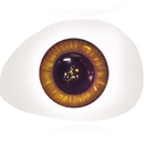 Dolls Castle 瞳の色 ブラウン