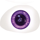 Dolls Castle 瞳の色 パープル