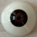 DHDOLL 瞳の色 ブラウン