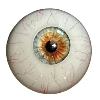 DL Doll 眼球 10