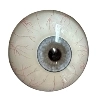 DL Doll 眼球 12