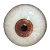DL Doll 眼球 3