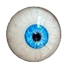 DL Doll 眼球 6
