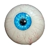 DL Doll 眼球 7