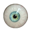 DL Doll 眼球 9