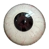 DL Doll 眼球 YL2