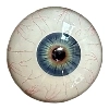 DL Doll 眼球 YL5