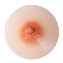 DL Doll 乳輪の色 2（シリコンボディ限定）