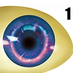 Dolls Castle 眼球のオプション 1