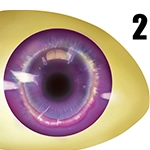 Dolls Castle 眼球のオプション 2