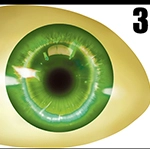 Dolls Castle 眼球のオプション 3