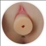 DOMDOLL 膣ホールタイプ 着脱式