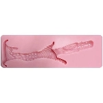 Evas Doll 膣ホール 4