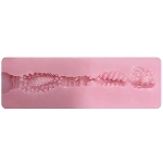 Evas Doll 膣ホール 9