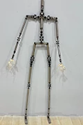 FANREAL ヨガ新骨格 あり