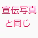 SHEDOLL 髪型 宣伝写真と同じ