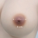 FANREAL 乳輪サイズ 4CM