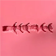 FANREAL ホールサイズ 5-12cm