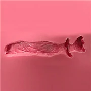 FANREAL ホールサイズ 6-12cm