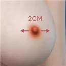 蛍火日記 乳輪サイズ 2cm