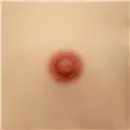 Funwest Doll 乳輪サイズ 2cm