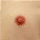 Funwest Doll 乳輪サイズ 2cm