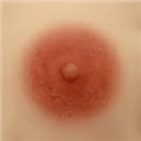 Funwest Doll 乳輪サイズ 7cm