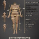 Galatea Doll ボディ選択 168cm