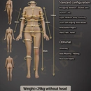 Galatea Doll ボディ選択 163cm