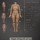 Galatea Doll ボディ選択 167cm